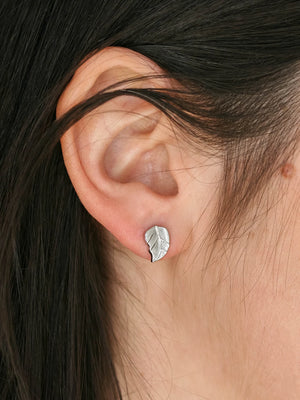 Clous d'oreilles Sequoia argent