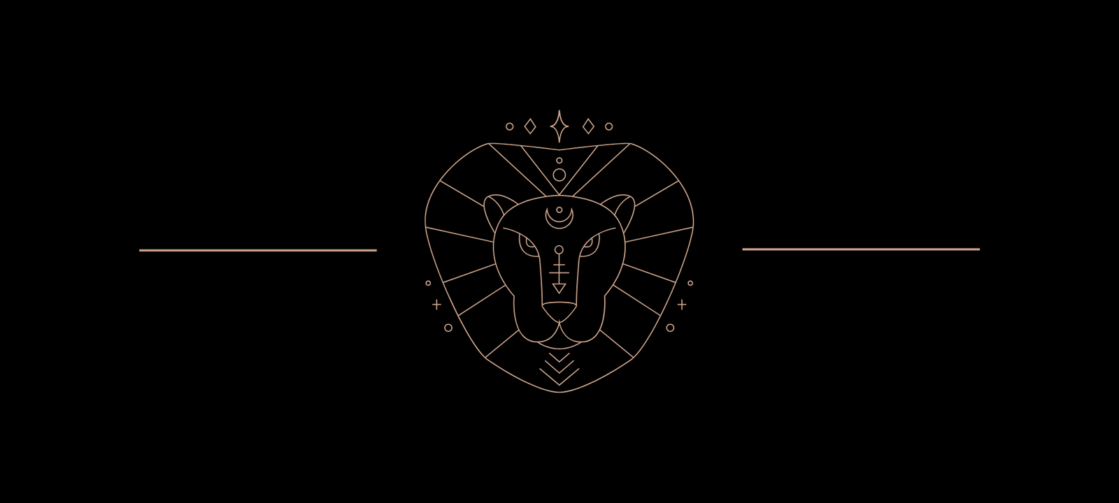 Le Lion (23 juillet au 22 août)