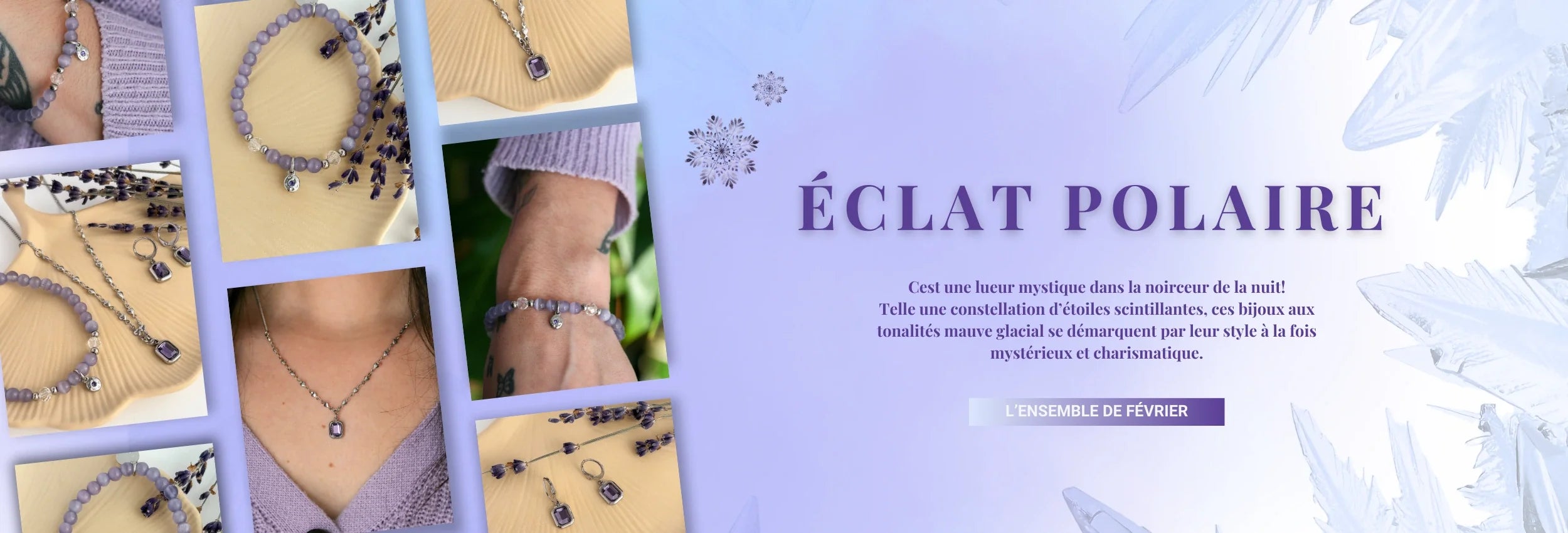 Ensemble Février 2026 - Éclat polaire

