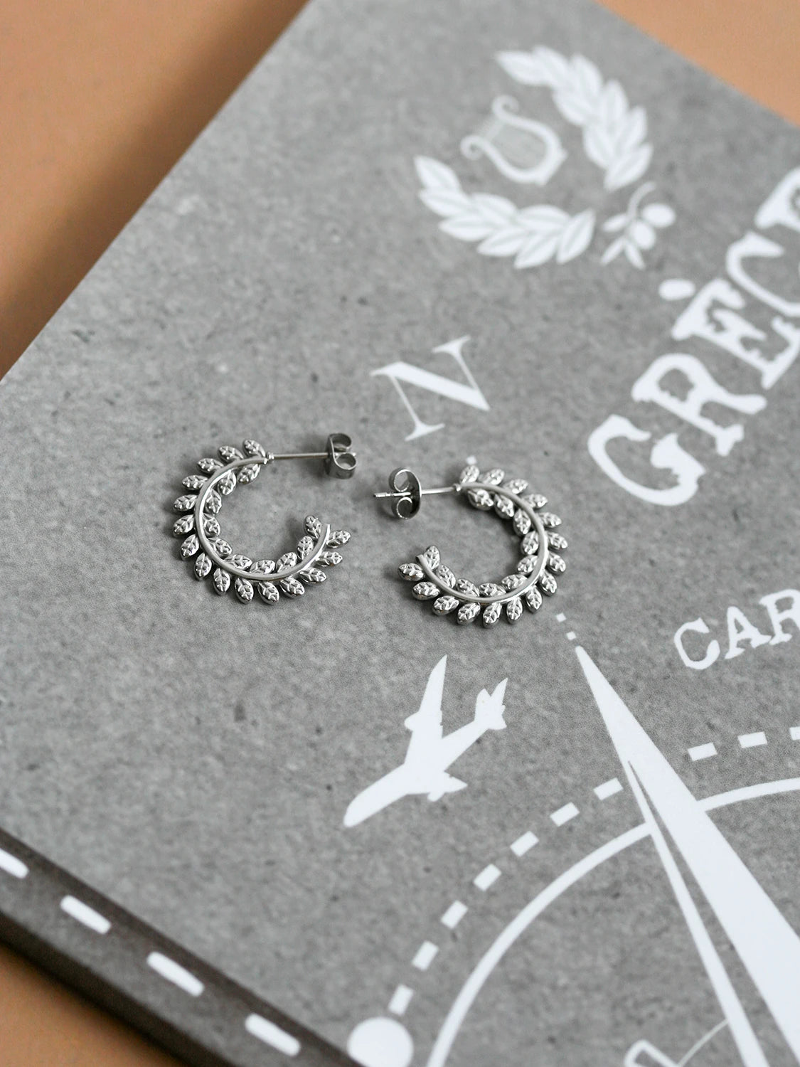 Clous d'oreilles Fylla argent