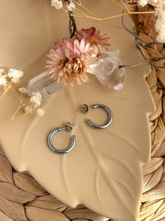 Clous d’oreilles Évidence argent