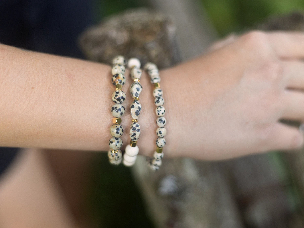 Ensemble Dalmatian doré