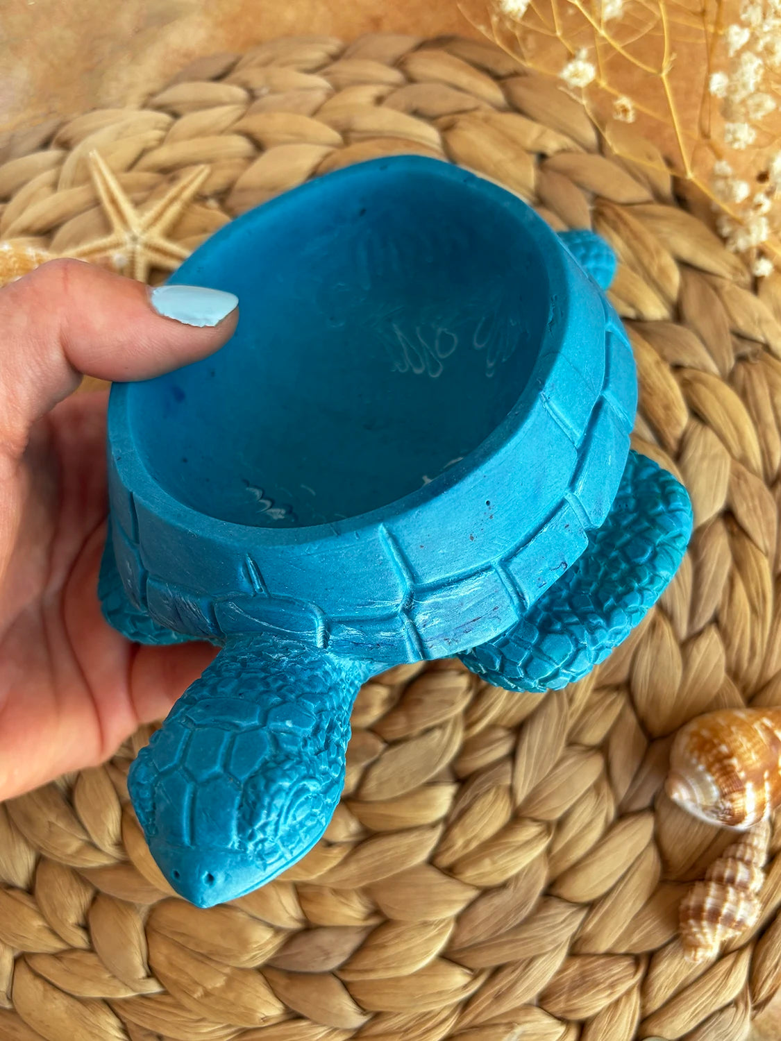 Plateau à bijoux Tortue bleu 3D (unique)