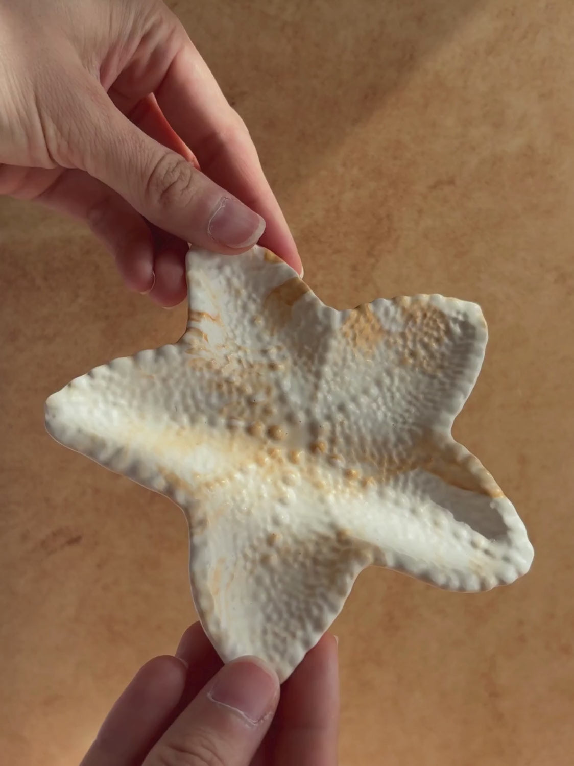 Plateau étoile de mer décorative Oli - Série Phénix